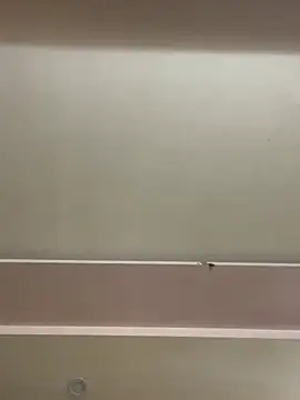 Liness101 online show from February 13, 3:17 am