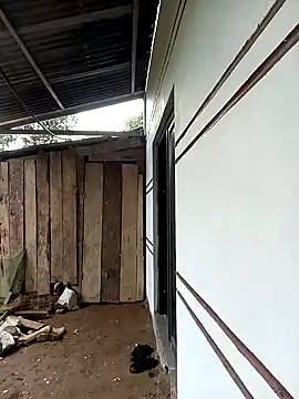 xiaogoal online show from March 24, 2:44 am