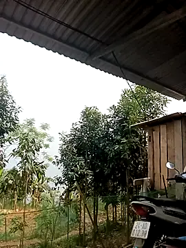 xiaogoal online show from April 14, 2:05 am