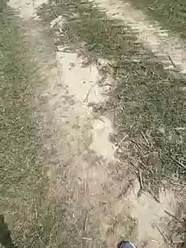 Pagelboy 089 online show from March 27, 8:22 am