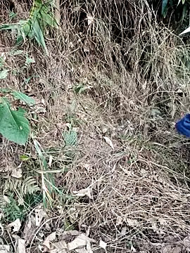 vanvan005 online show from March 31, 10:28 am