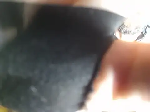 soniccheeseburger online show from January 14, 8:18 am