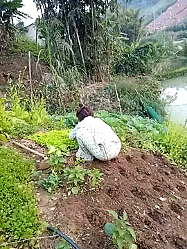 Happy sweet1 online show from January 12, 10:22 am