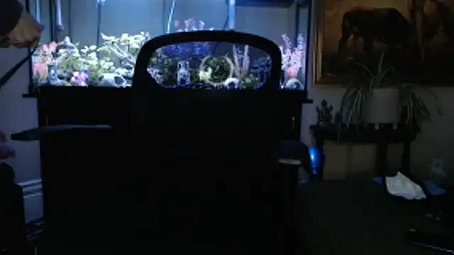 EspanolVato online show from March 5, 11:43 pm