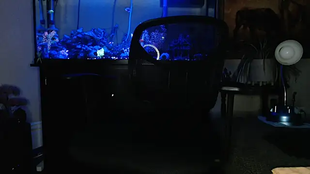 EspanolVato online show from March 19, 9:20 am