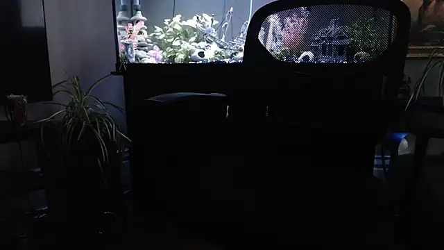 EspanolVato online show from March 21, 11:41 pm