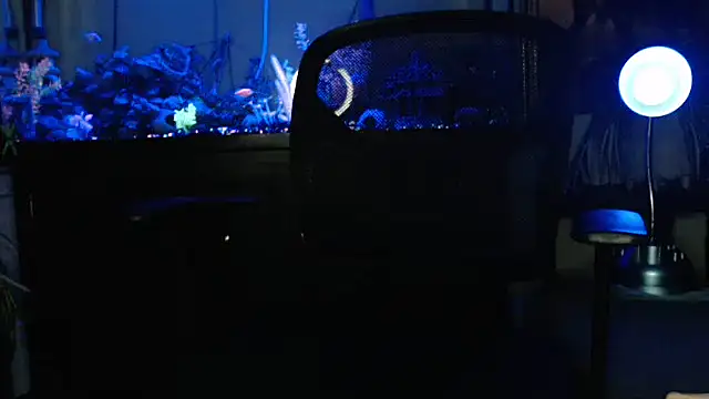 EspanolVato online show from March 23, 9:09 am