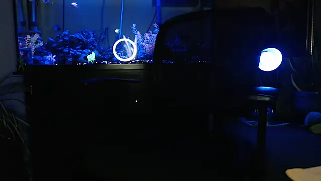 EspanolVato online show from March 31, 9:11 am