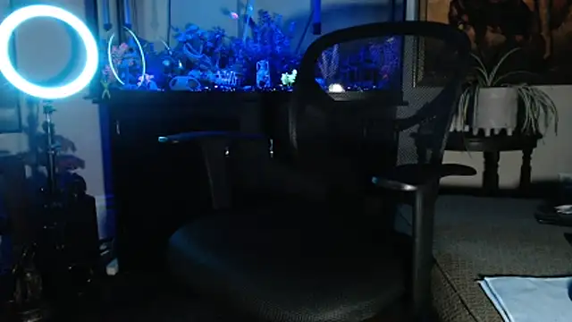 Snapshot of EspanolVato chatting on February 21, 9:44 am EspanolVato online show from February 21, 9:44 am