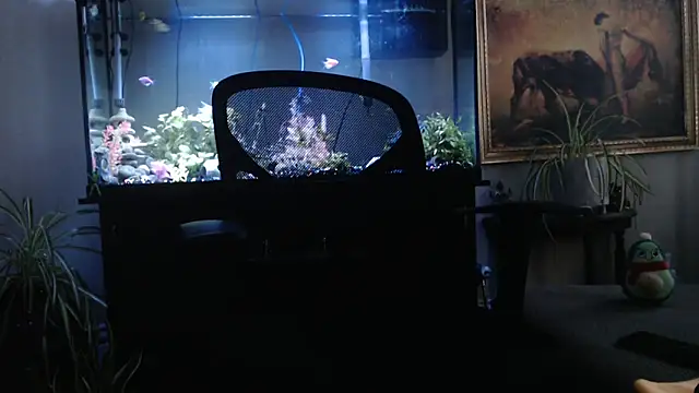 EspanolVato online show from April 2, 11:44 pm