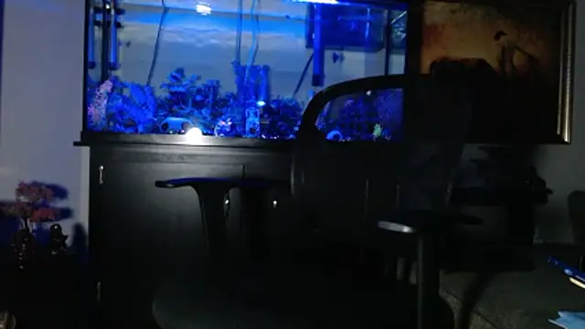 EspanolVato online show from January 8, 12:55 pm