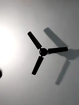 Sonali-6 online show from February 14, 4:40 pm