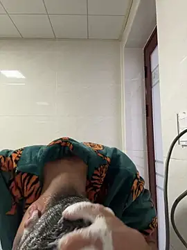 TOYOTA-01 online show from February 7, 7:27 am