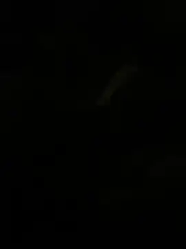 Herr Snusk online show from July 1, 12:11 am