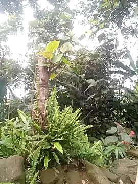 him220 online show from April 2, 10:22 am