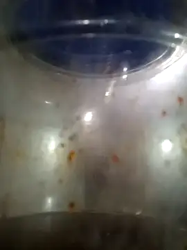 him220 online show from March 12, 2:06 am