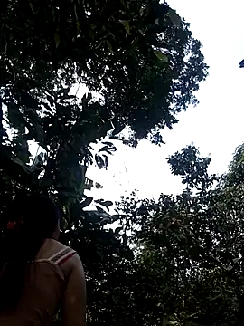 him220 online show from March 2, 6:58 am