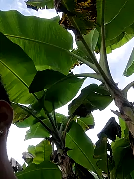 Wild and Sweets online show from January 11, 7:54 pm