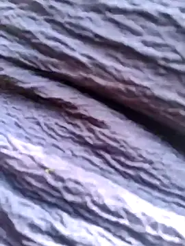 Queen chayna online show from January 14, 6:39 am