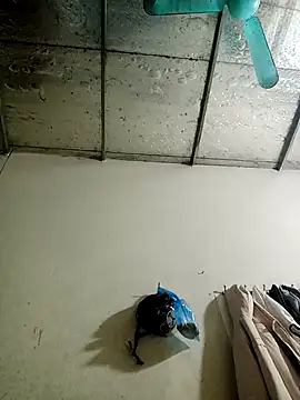 Sana-vn online show from January 15, 1:47 pm