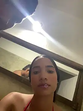 alice  cat online show from April 12, 2:37 am