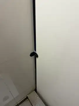 Johnlim880 online show from January 10, 4:52 am