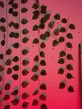 Isabella Belmont online show from February 24, 7:20 am