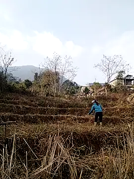 alycen online show from January 13, 2:37 am