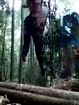 alycen online show from January 15, 8:29 am