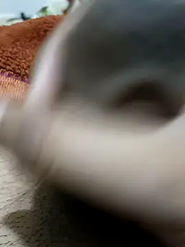  chota bunny  online show from February 9, 8:18 pm