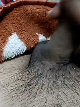  chota bunny  online show from February 22, 7:55 am