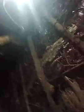 Manvi hote online show from January 18, 4:10 pm