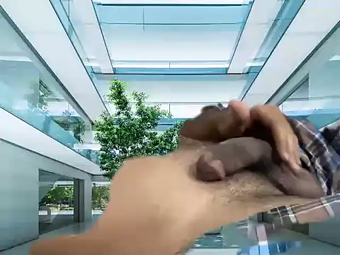 mdlaif1111 online show from April 8, 9:33 am