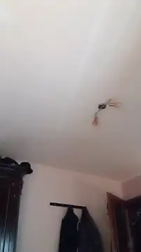 Der Schoene Penis online show from January 11, 1:07 pm