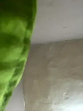 kwandero1234 online show from January 12, 7:42 pm