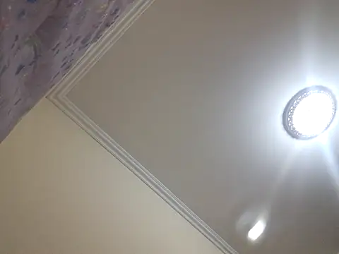 Snapshot of kitty_pi chatting on March 1, 4:56 am kitty pi online show from March 1, 4:56 am