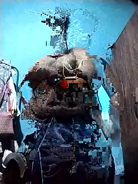 Danu2005dsa online show from March 22, 5:47 pm