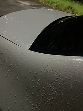 flavia337 online show from February 24, 12:44 am