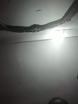 momo loves online show from March 3, 3:24 am