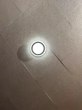 Evelin199 online show from March 9, 3:59 pm