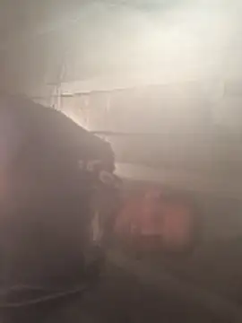 polo48725 online show from April 15, 6:56 pm