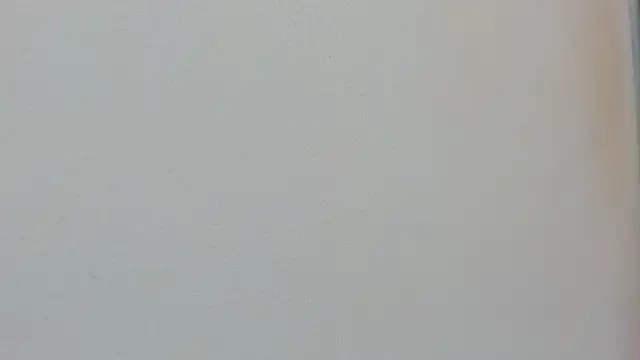 Missy 22  online show from April 15, 1:37 pm