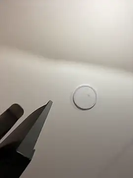 Michelle ec online show from March 7, 3:06 pm