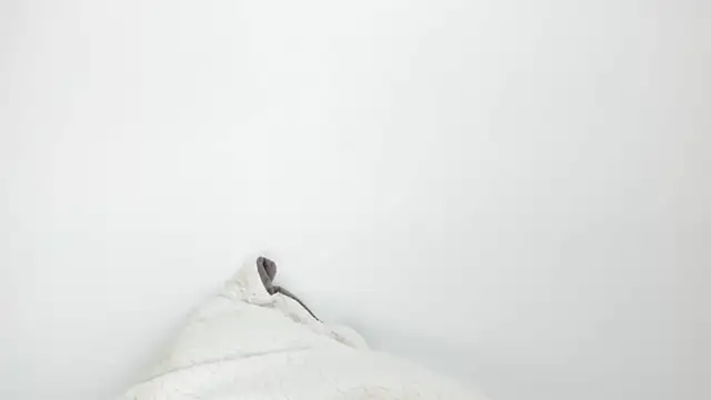 Sarah sumemers online show from March 4, 8:16 pm