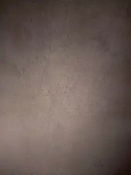 Neha-babySl online show from January 8, 4:07 am