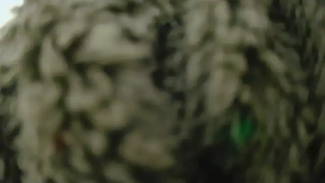 Masui online show from February 8, 7:50 am