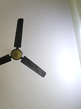 trinasa online show from January 12, 8:04 pm