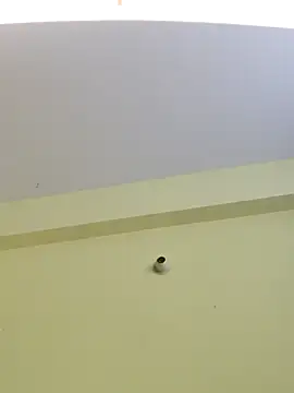 trinasa online show from April 8, 7:48 pm