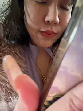 wy2026 online show from February 25, 5:29 am