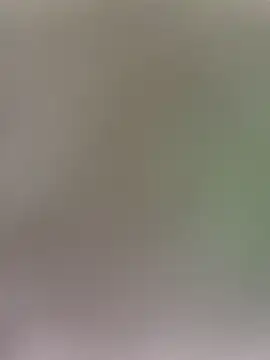 wy2026 online show from April 3, 12:06 am